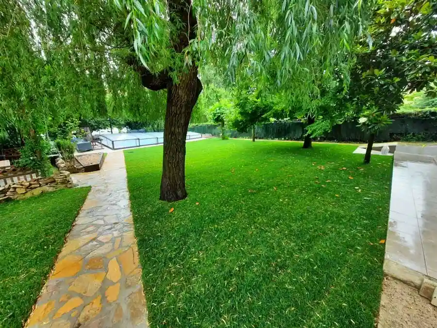 jardín nuevo