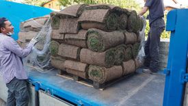 césped en rollos